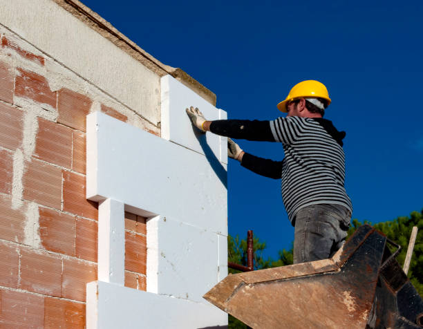 Best Insulation for Specific Applications in Badieville, LA