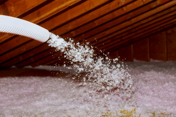 Best Specialty Insulation in Badieville, LA