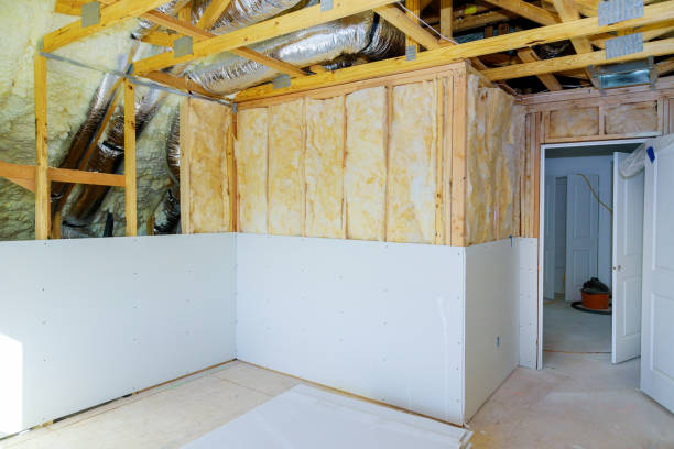 Best Commercial Insulation in Badieville, LA