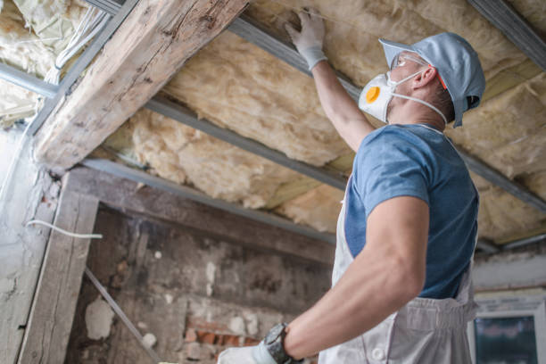 Best Insulation Maintenance and Repair in Badieville, LA